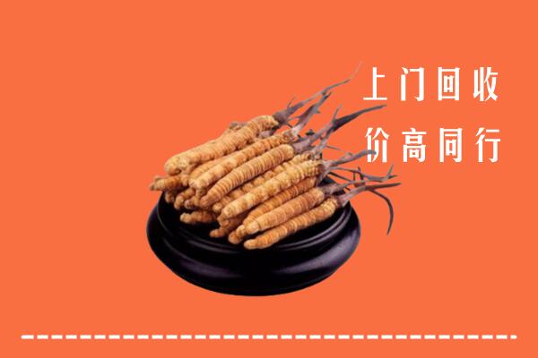 高价求购：丰南区回收散虫草